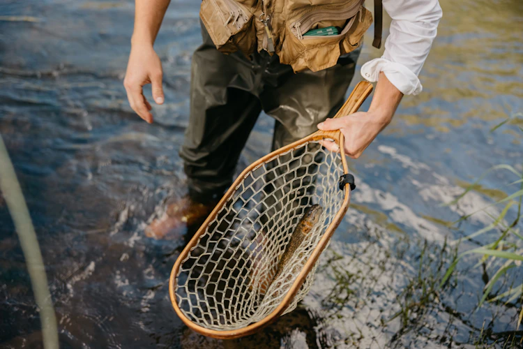 landing net dipped in the river