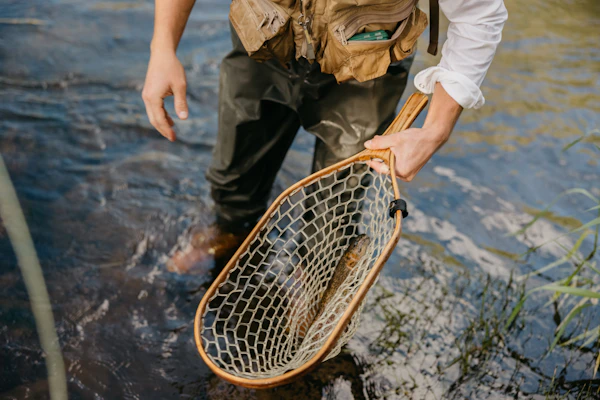 Angler holding a net in a river