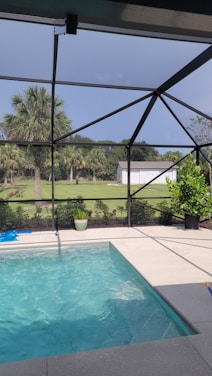 An outdoor pool with clear blue water is surrounded by a screened enclosure. The area is landscaped with potted plants and there is a lush green lawn with several palm trees visible in the background. A white building is situated beyond the lawn, and the sky above is clear and sunny.