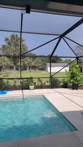 An outdoor pool with clear blue water is surrounded by a screened enclosure. The area is landscaped with potted plants and there is a lush green lawn with several palm trees visible in the background. A white building is situated beyond the lawn, and the sky above is clear and sunny.