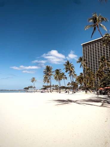 A sandy beach stretches along the coastline with tall palm trees lining the area. A large hotel building is seen to the right, and there are people walking and relaxing near the water. The sky is clear with a few clouds, and the sun casts long shadows on the sand.