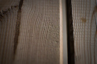 Close-up of rich oak timber flooring showing detailed grain texture under soft natural light.