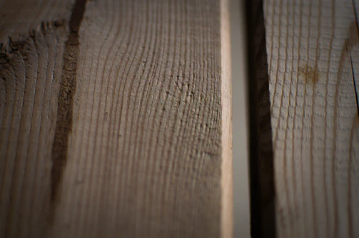 Close-up of rich oak timber flooring showing detailed grain texture under soft natural light.