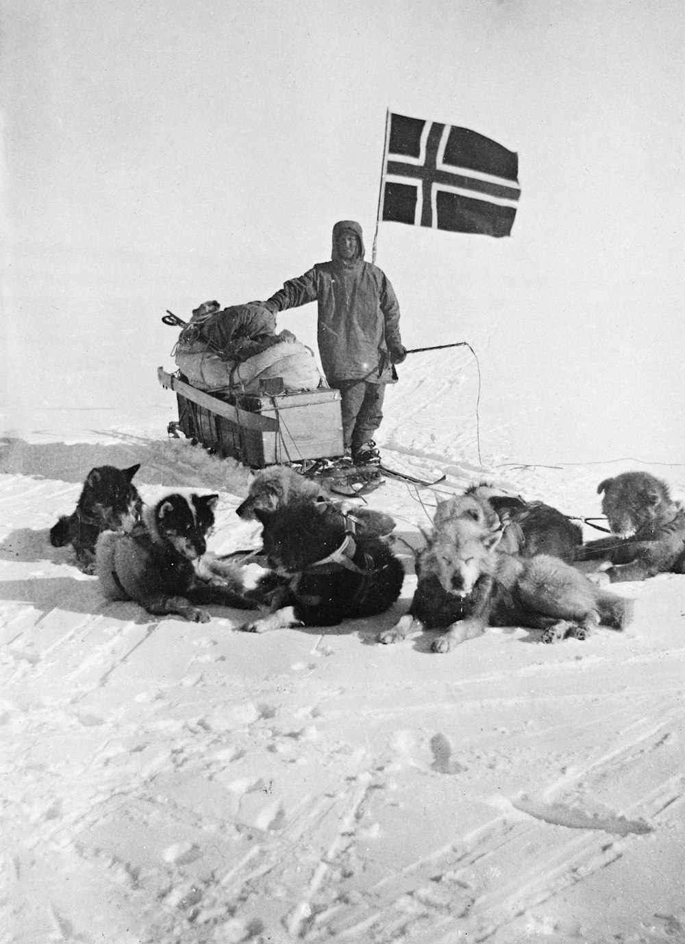 a man standing on top of a snow covered slope next to dogs