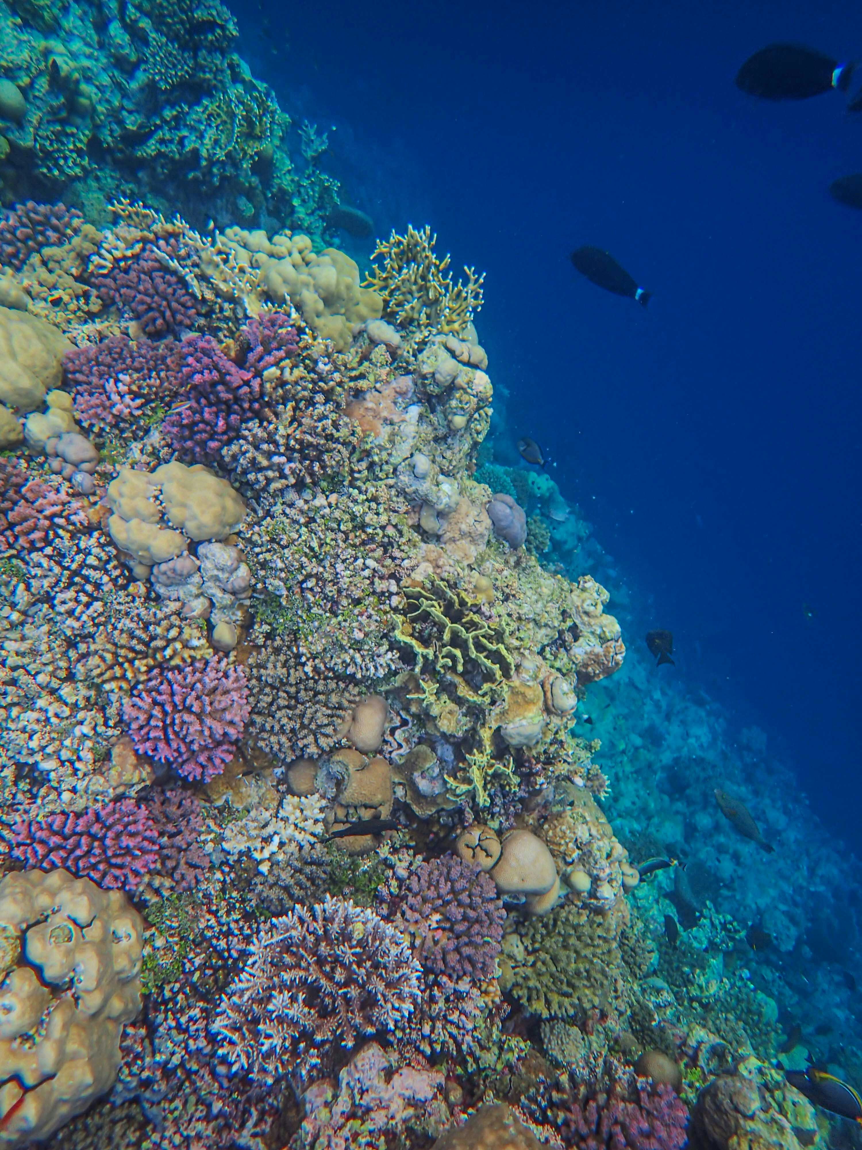 Photo by francesco_ungaro