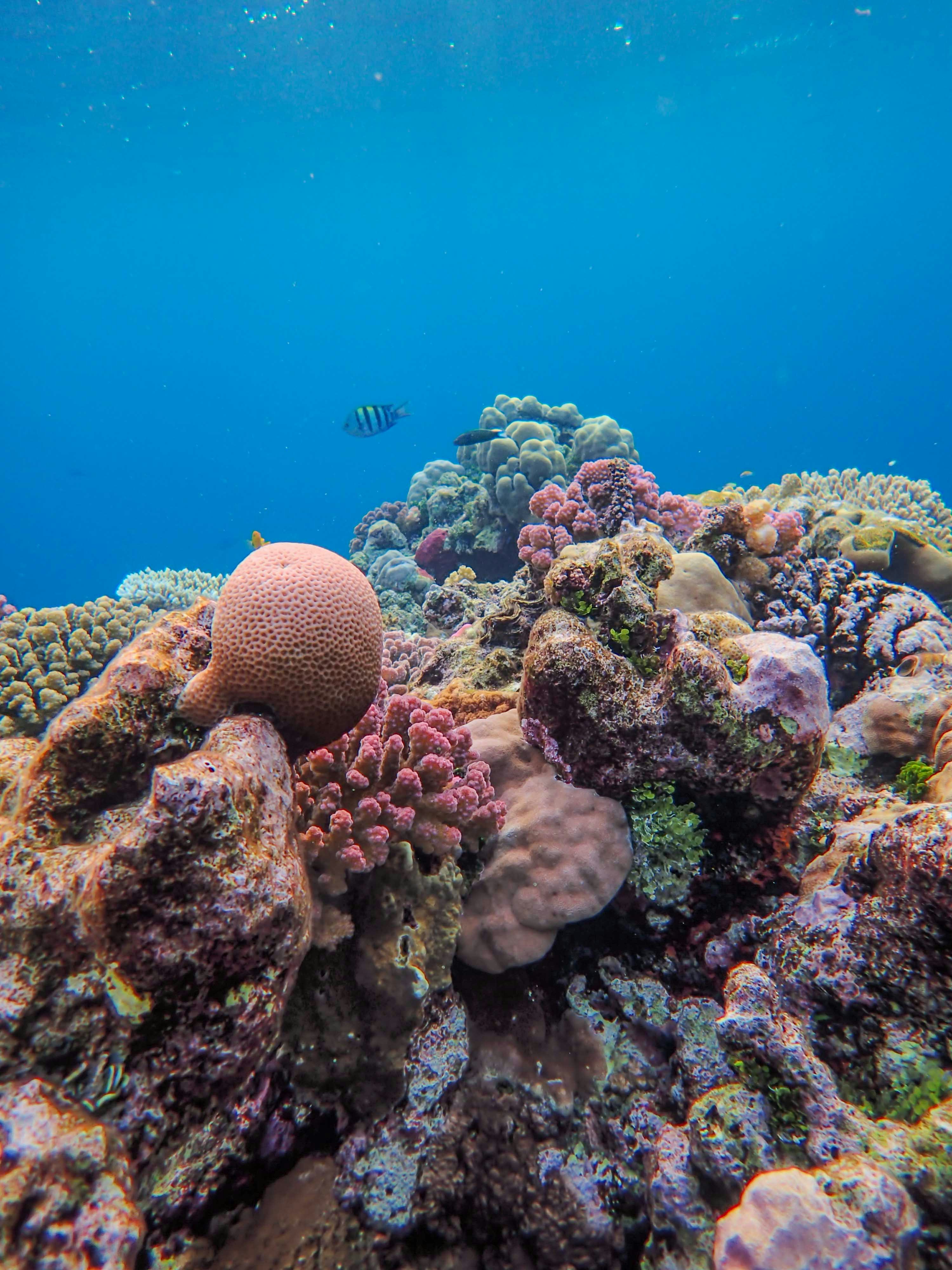 Photo by francesco_ungaro