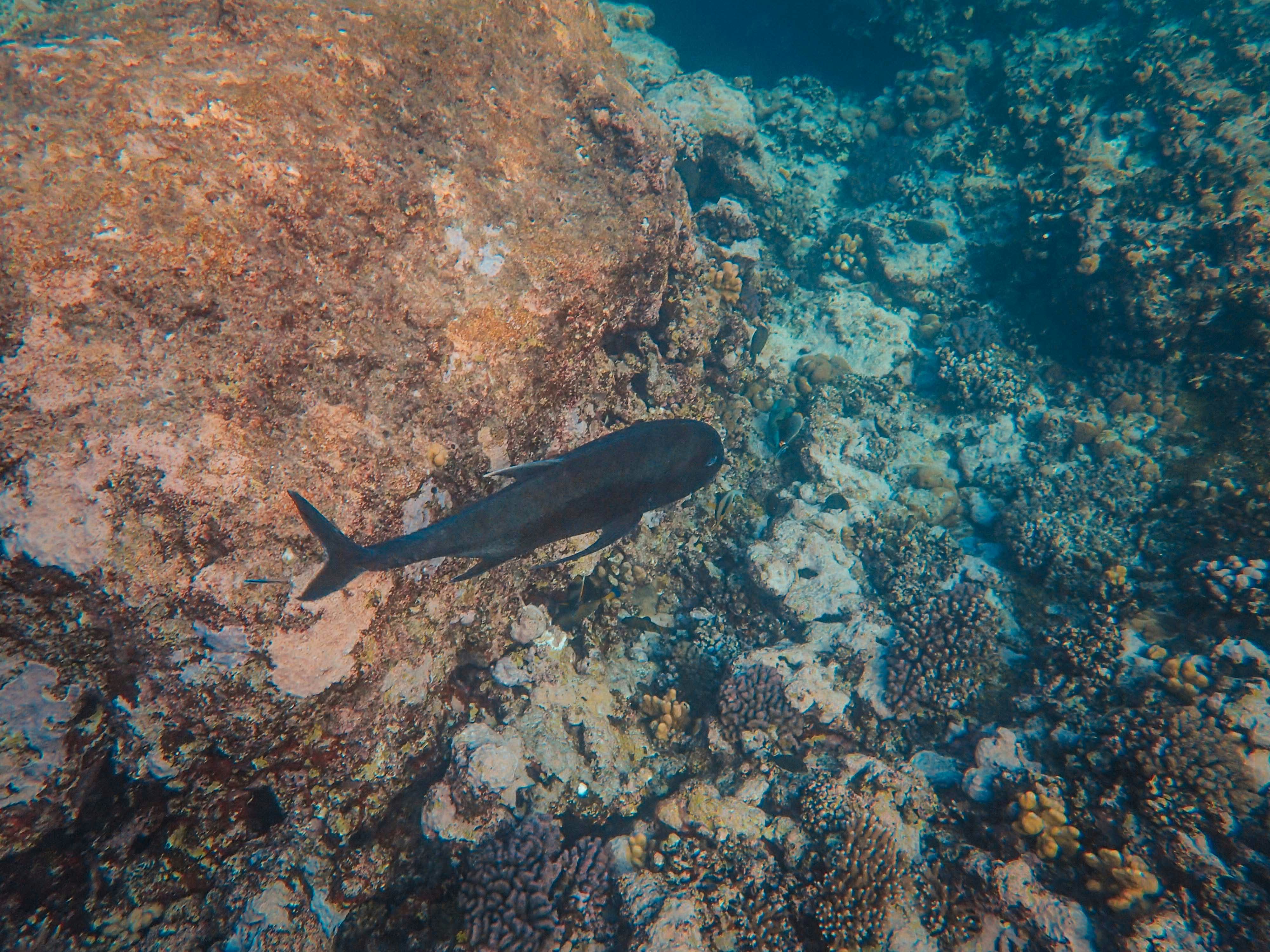 Photo by francesco_ungaro