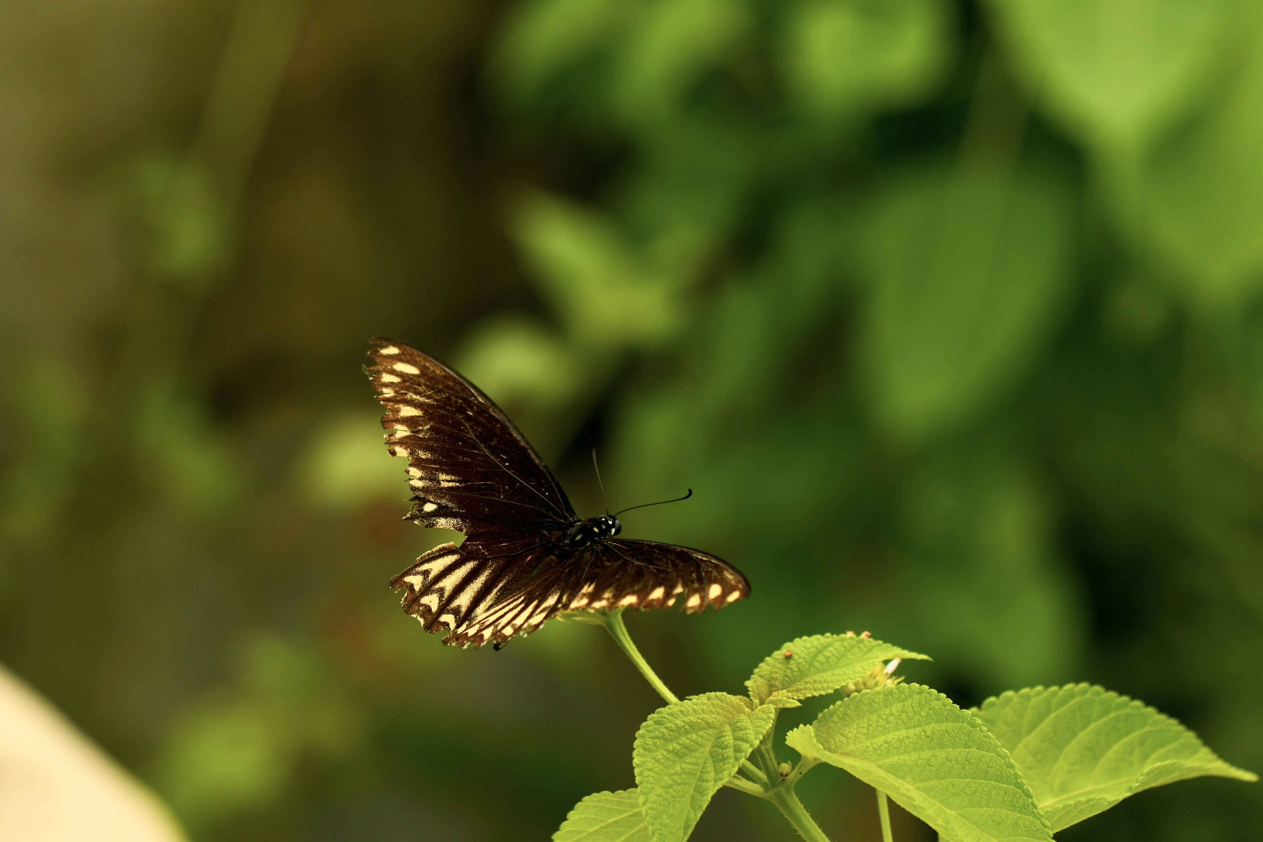 Photo by wrishi2004m