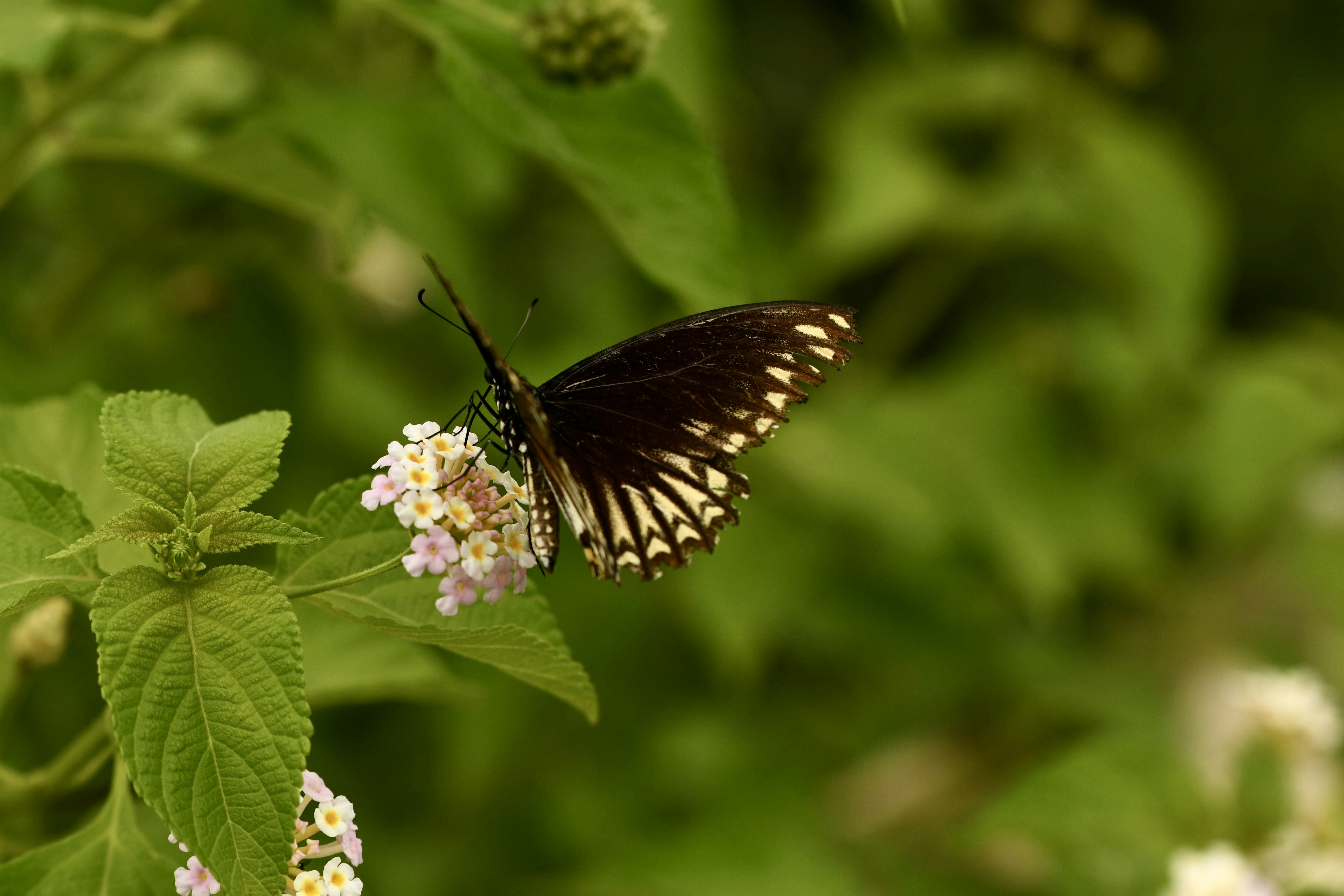 Photo by wrishi2004m