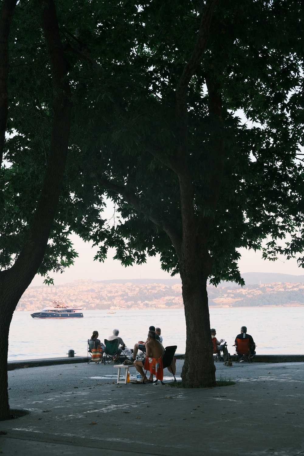 a group of people sitting under a tree next to a body of water
