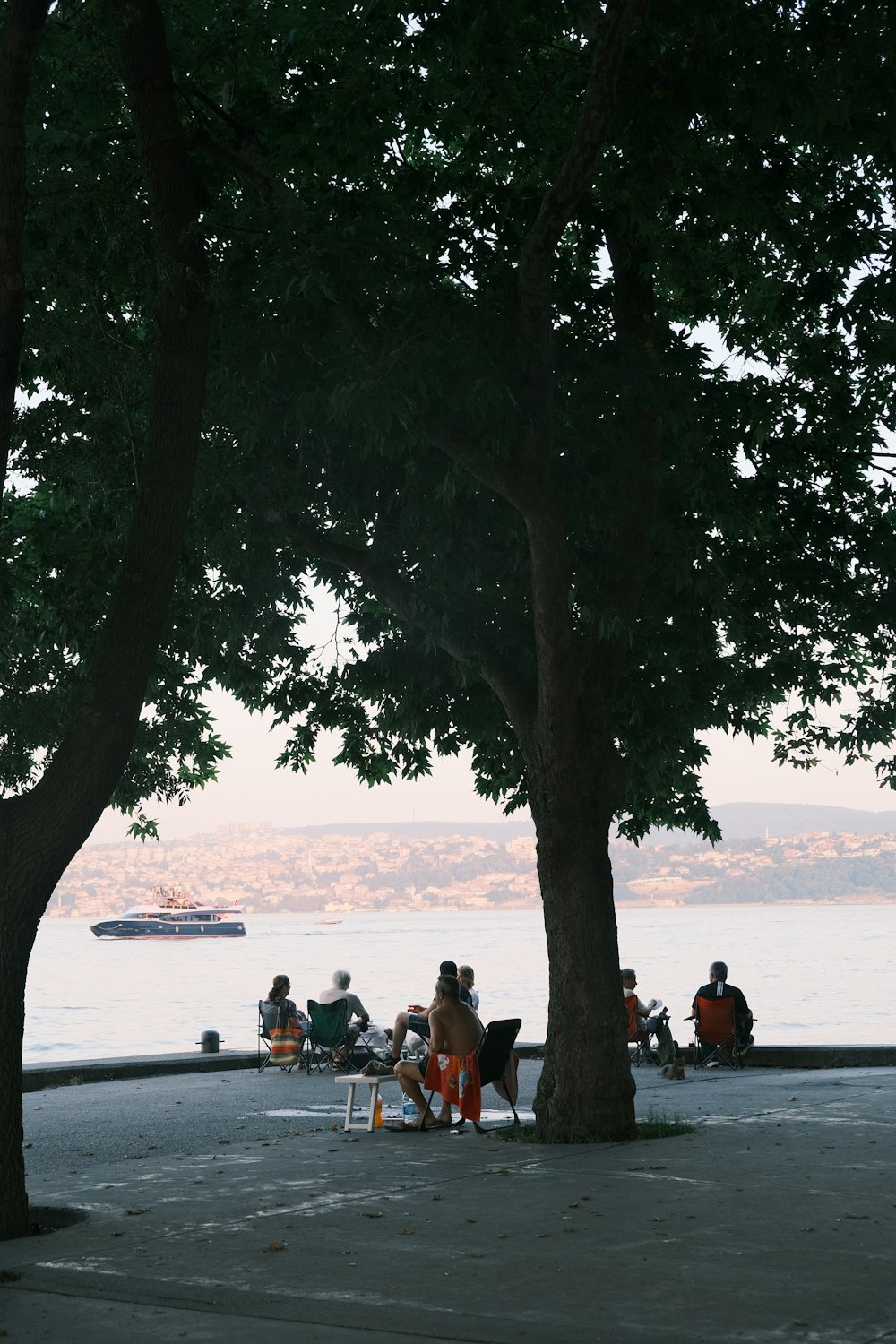 eine gruppe von menschen, die unter einem baum neben einem gewässer sitzen