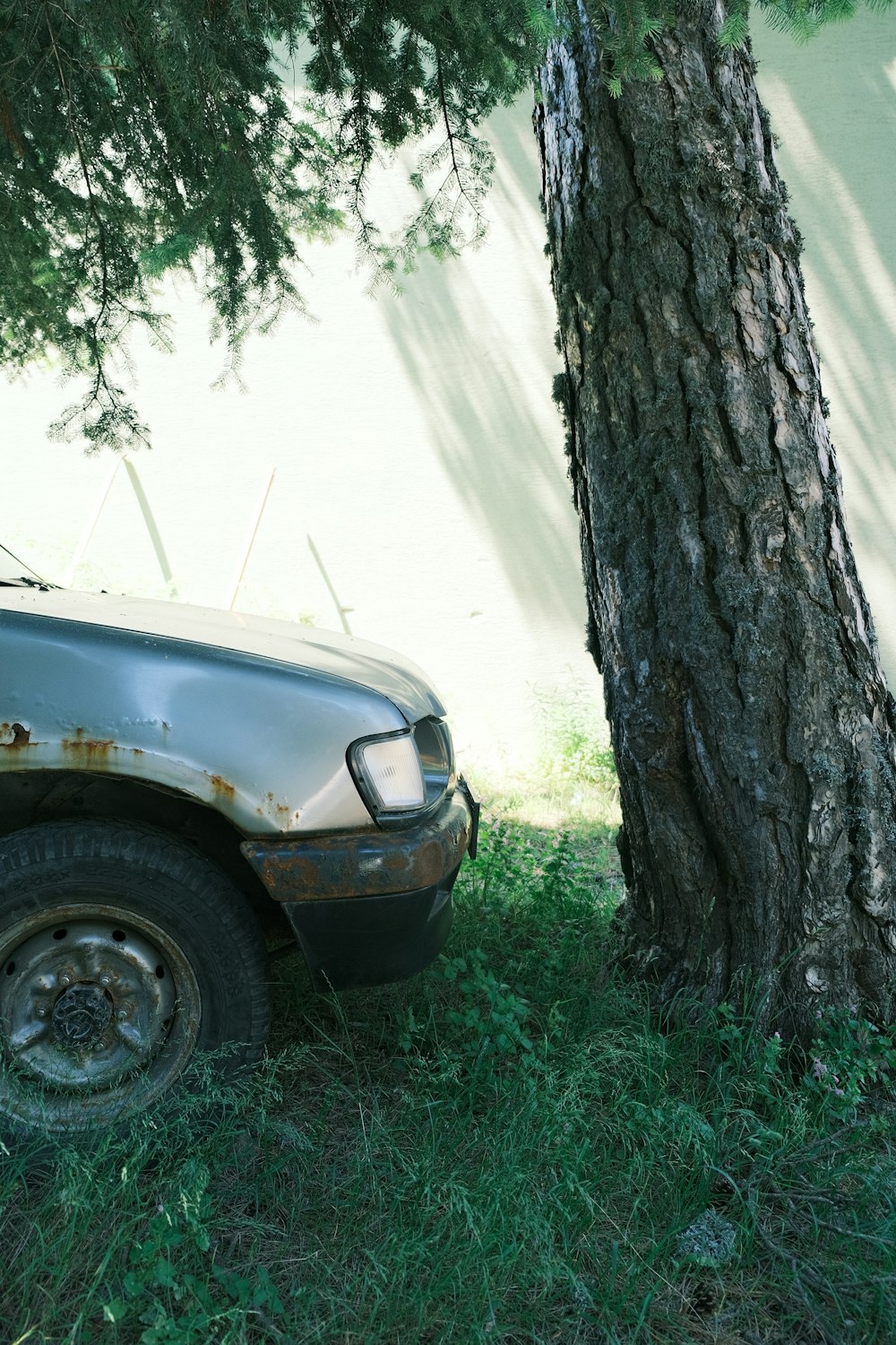 a truck parked next to a tree in the grass