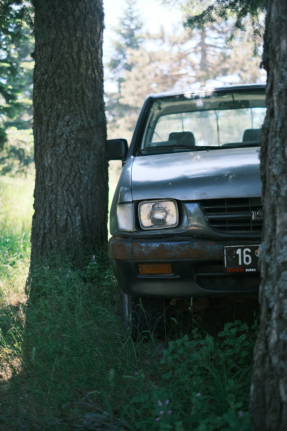 a car parked in the woods behind some trees