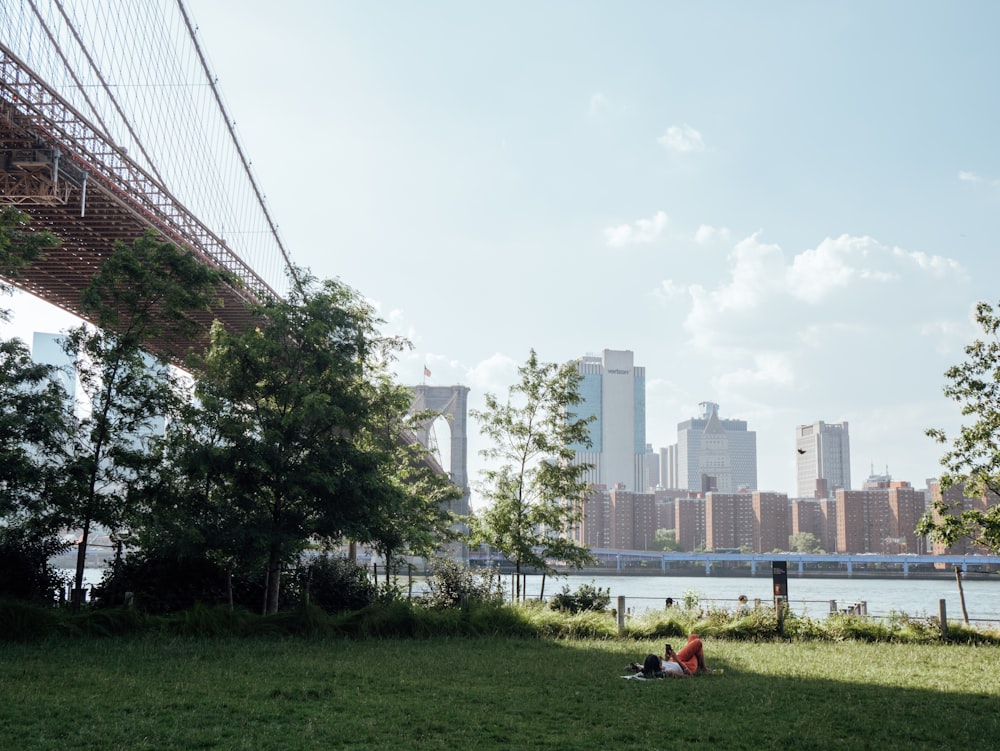 a man sitting on the grass under a bridge