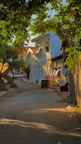 Sunlit village street with local houses and blooming flowers.
