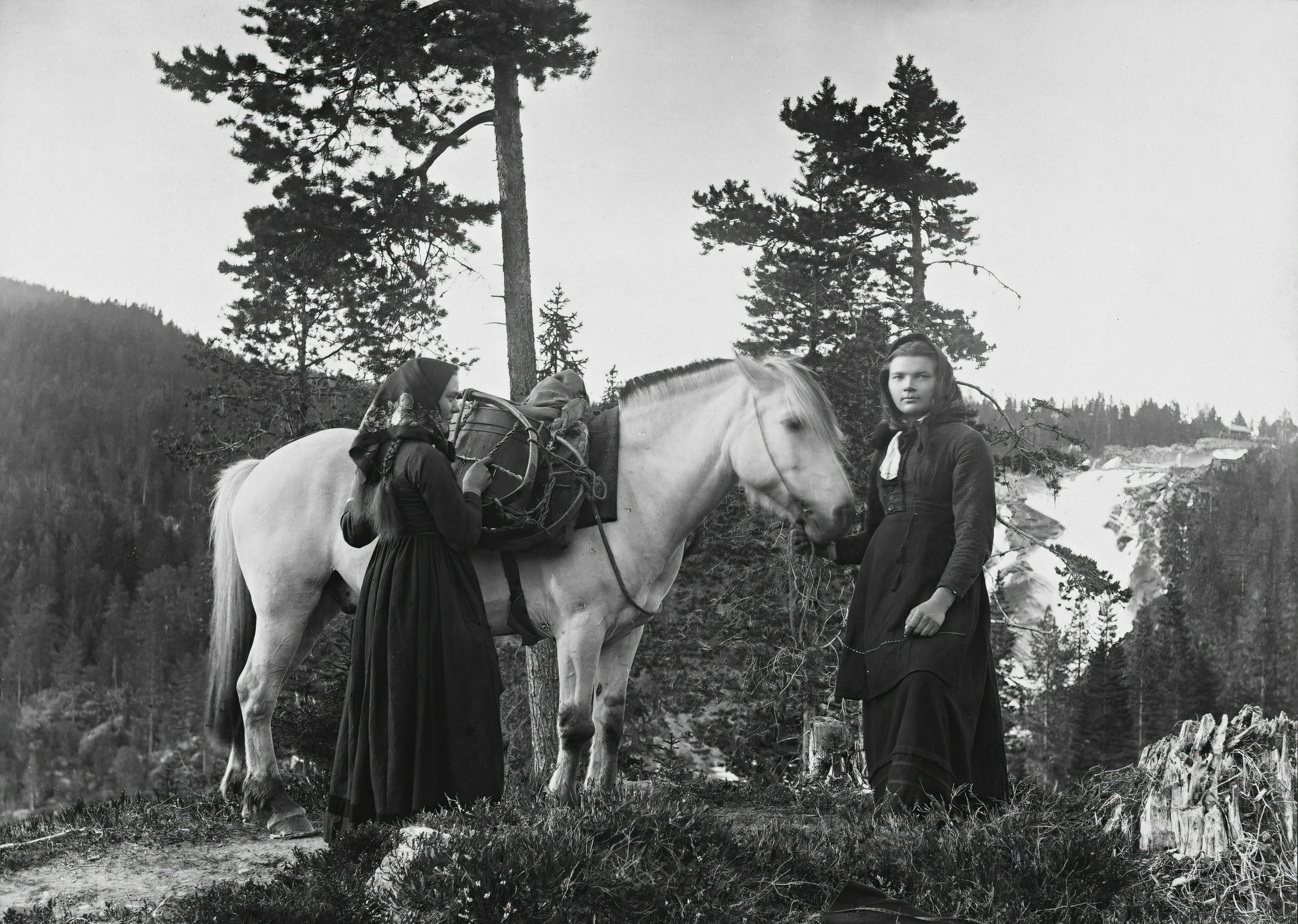 Photo by nationallibrarynorway