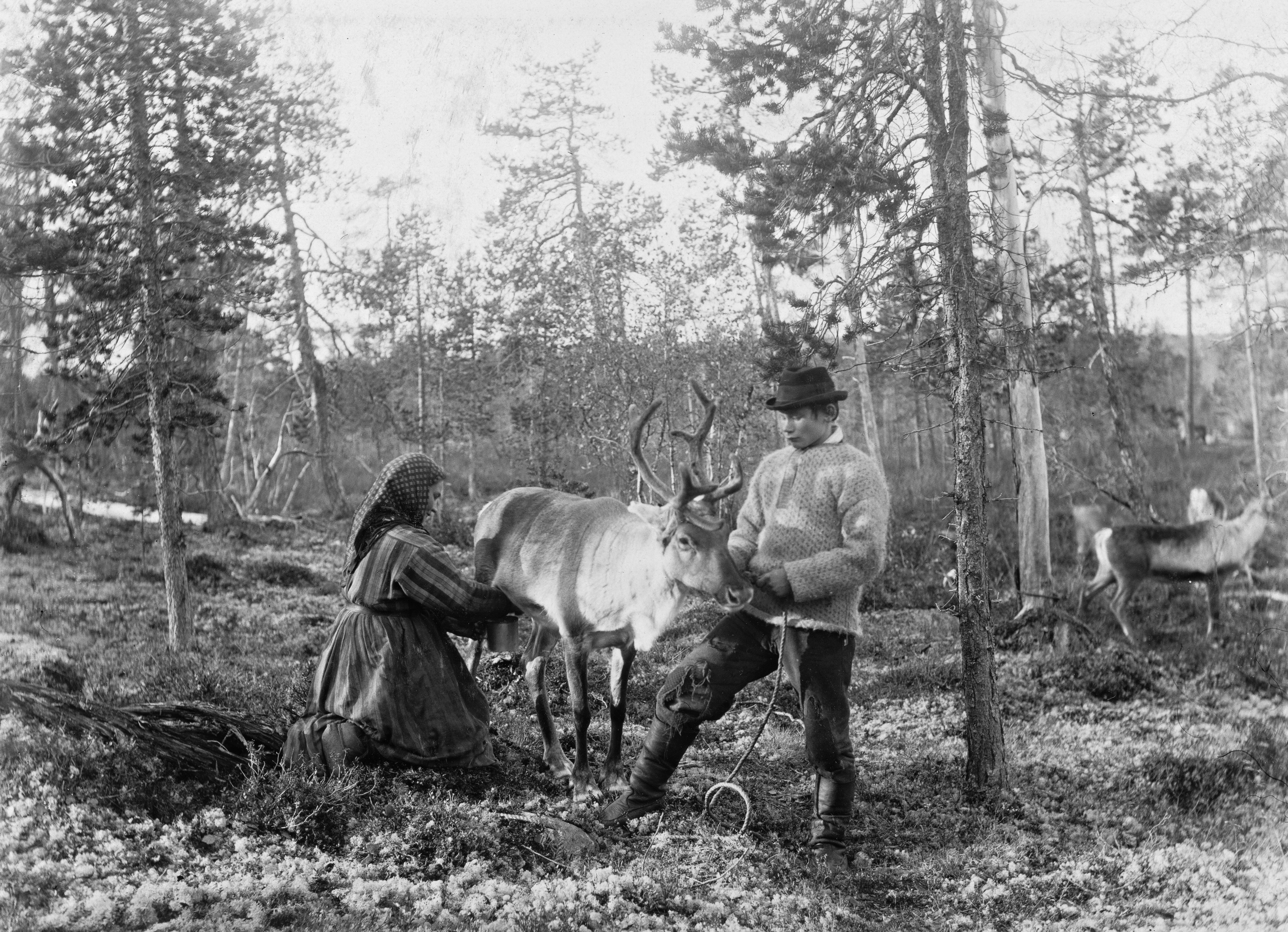 a man kneeling down next to a reindeer in a forest