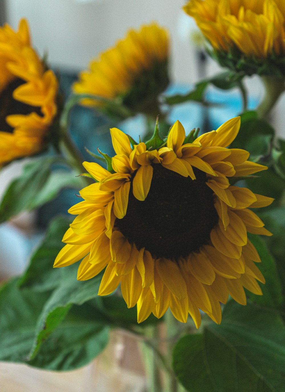 a vase filled with yellow sunflowers on top of a table