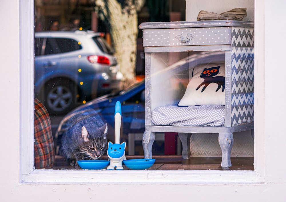 a cat sitting in a window with a blue bowl