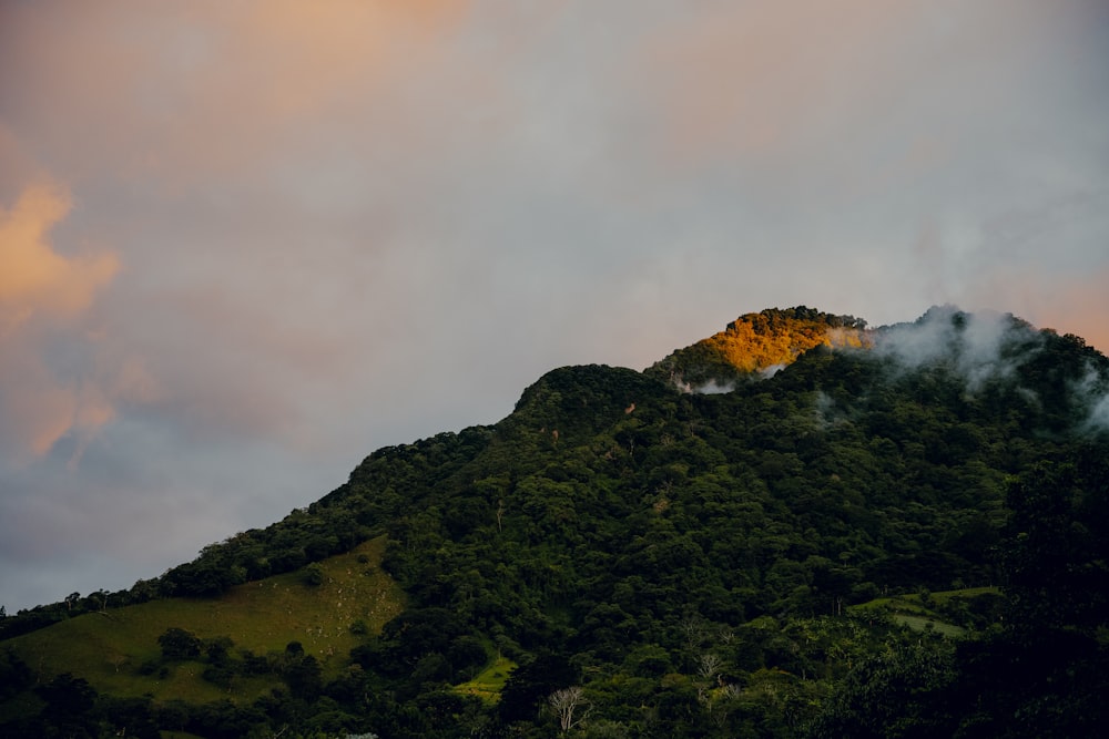 a green mountain with a cloud covered top