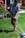A person is engaged in yard work, using a grass trimmer on a well-maintained lawn. They are wearing a plaid shirt, beige pants, and a black cap. To the side, there are blooming red flowers and a glimpse of a house with windows and a wooden fence.
