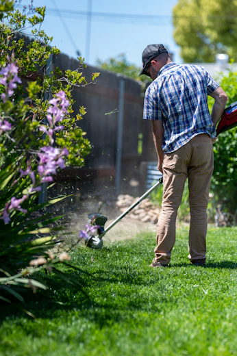 A gardener using a lawn strimmer to cut grass along flower borders in a Plovdiv‑region garden.
