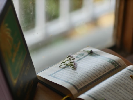 An open book with Arabic script is placed on a windowsill. A small flower lies on the pages, and another book with a green cover is nearby. The window offers a soft, natural light.