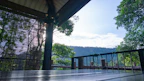 A peaceful yoga session on a wooden deck overlooking a lush forest.