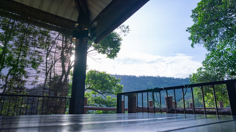A sunlit morning yoga session on a wooden deck overlooking a tranquil lake surrounded by lush greenery.