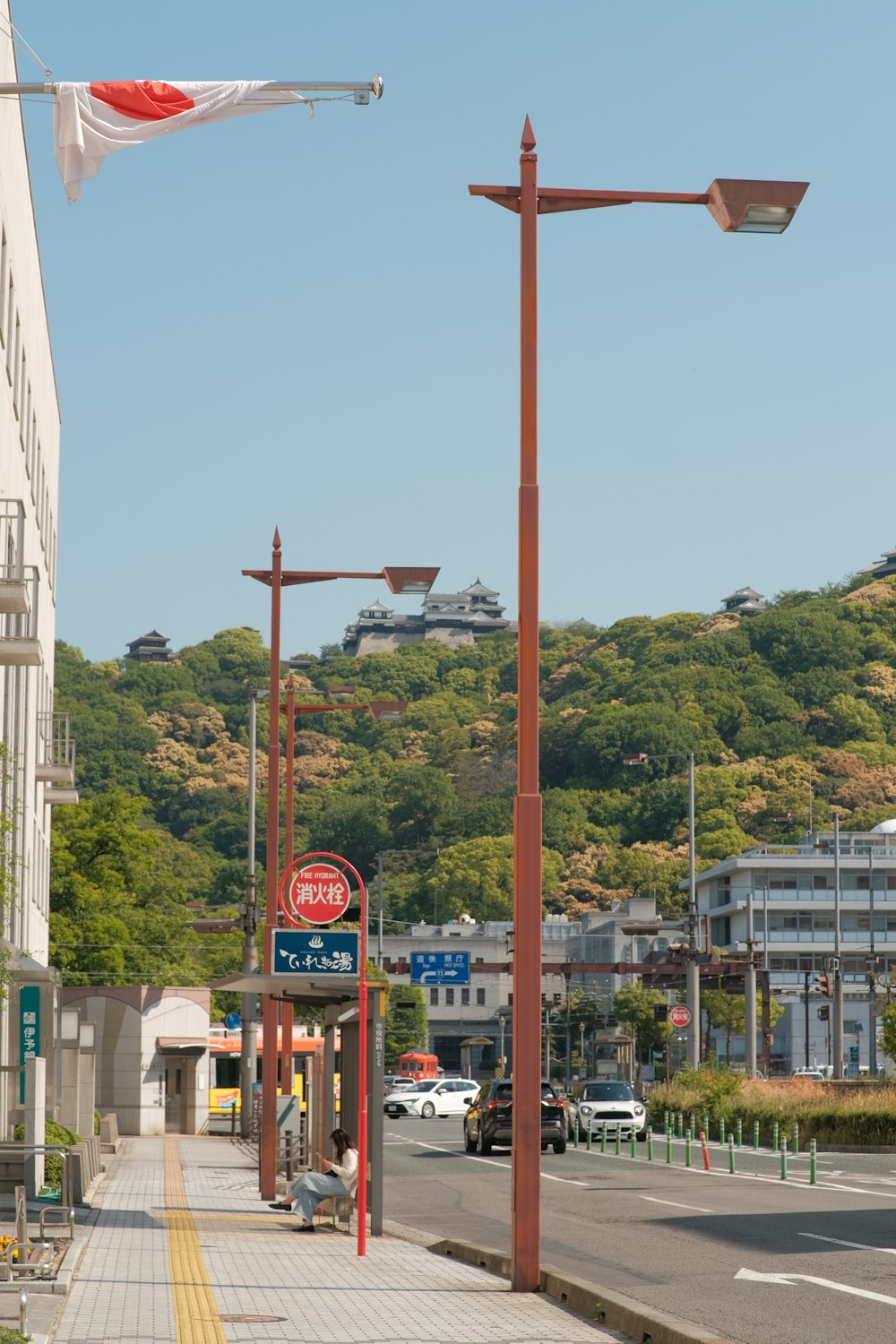 a street light on a city street with a hill in the background