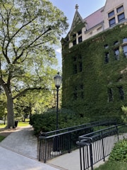 A historic building covered with ivy, surrounded by lush greenery. A paved pathway with a black metal railing leads towards the building, and a classic streetlamp is positioned in the foreground. The area is shaded by large leafy trees, creating a serene and inviting atmosphere.