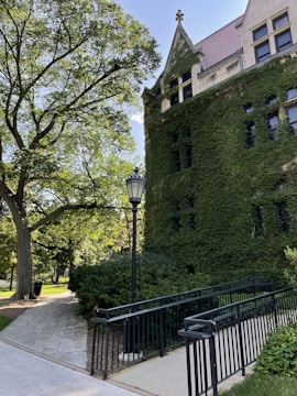 A historic building covered with ivy, surrounded by lush greenery. A paved pathway with a black metal railing leads towards the building, and a classic streetlamp is positioned in the foreground. The area is shaded by large leafy trees, creating a serene and inviting atmosphere.
