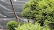 Picture showcasing various garden nets protecting plants