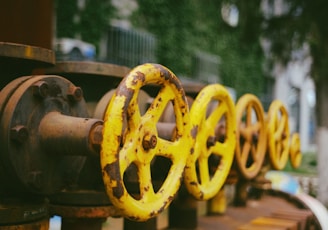 a row of yellow and black fire hydrants sitting next to each other