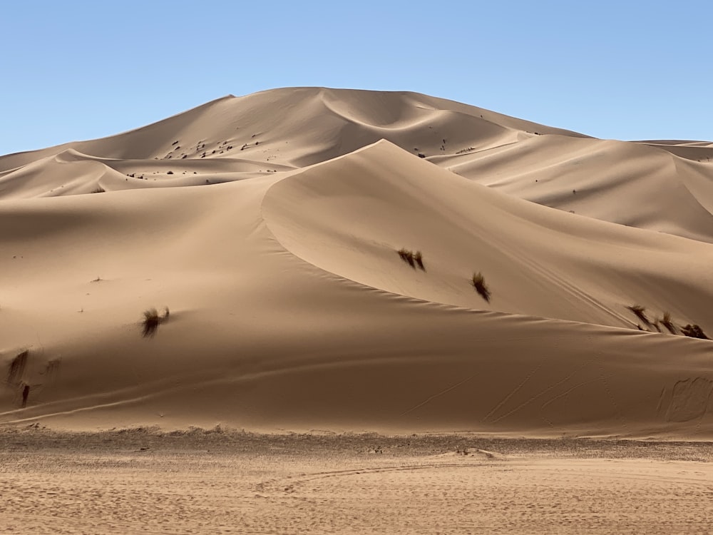 a large group of sand dunes in the desert