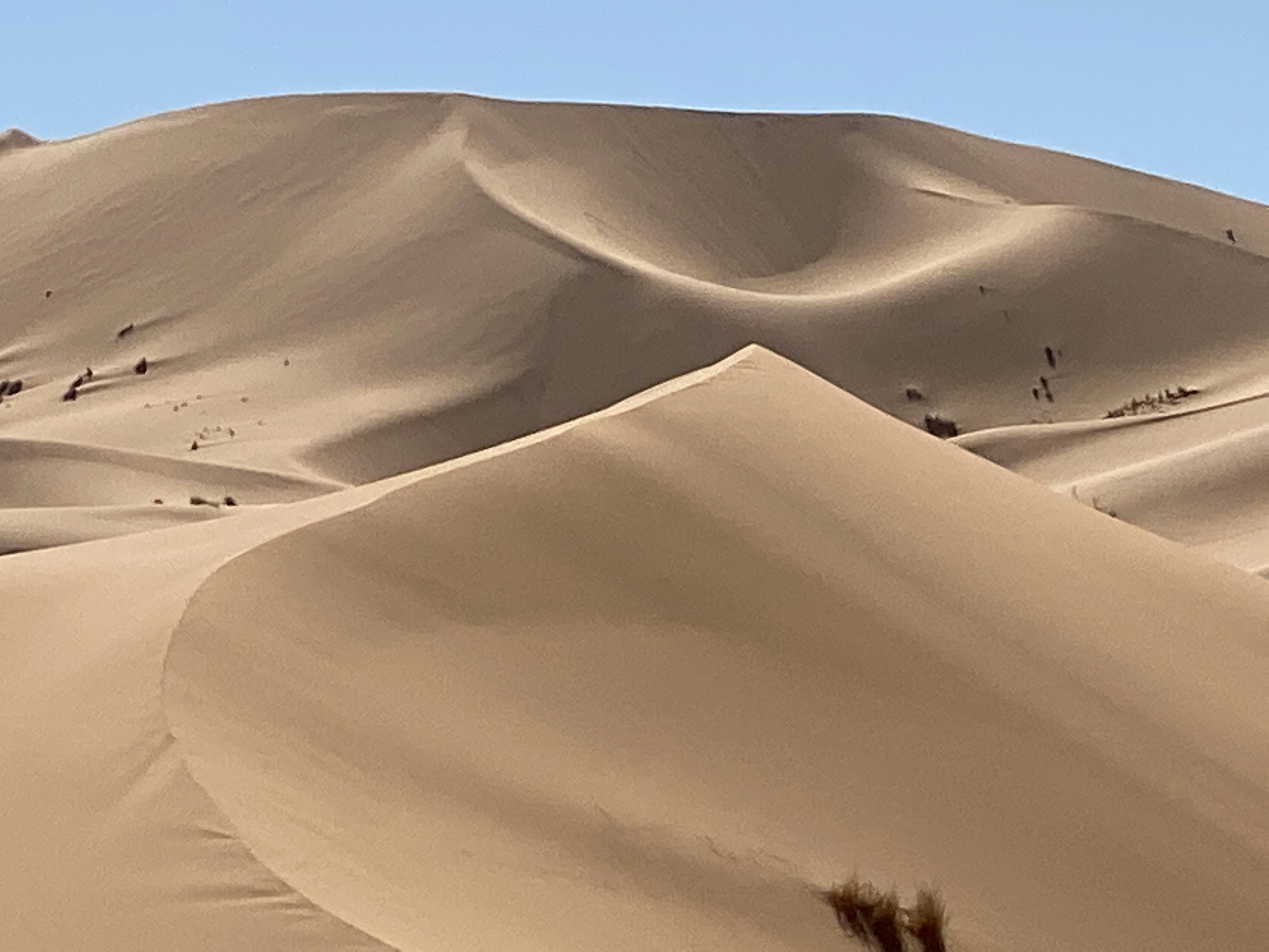 A large group of sand dunes in the desert