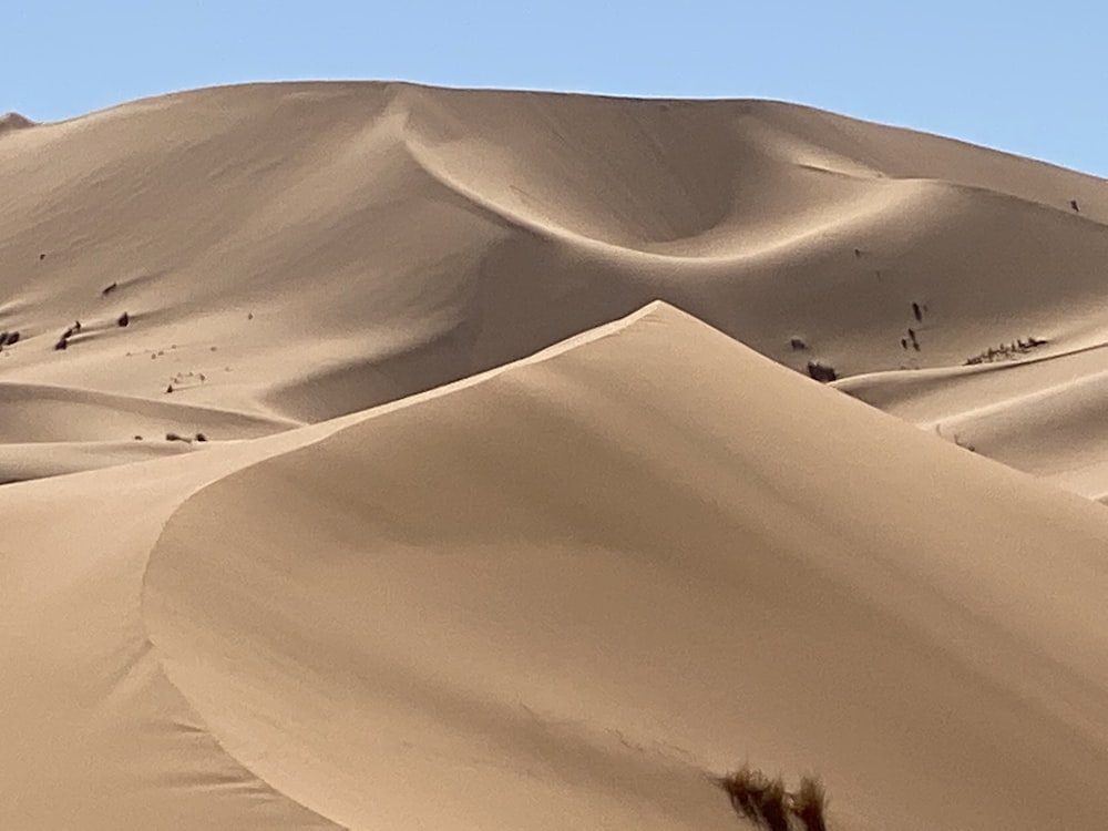 a large group of sand dunes in the desert