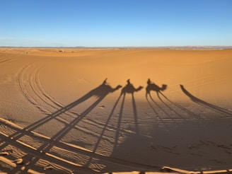 Camel riders silhouetted against the vast orange dunes of the Jaisalmer desert under a clear blue sky.