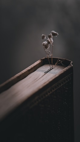 a small plant is sitting on top of a wooden box