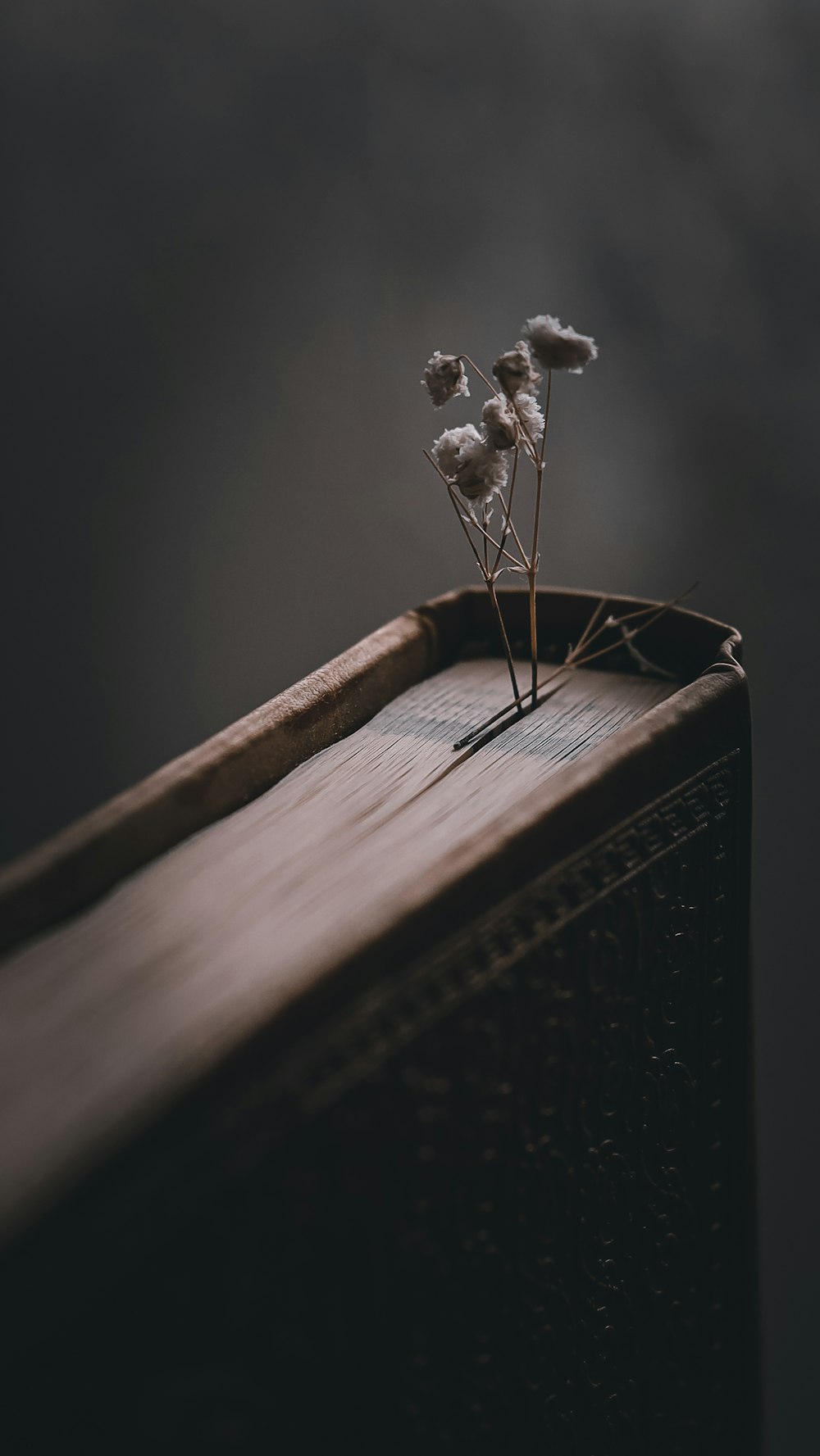 a small plant is sitting on top of a wooden box