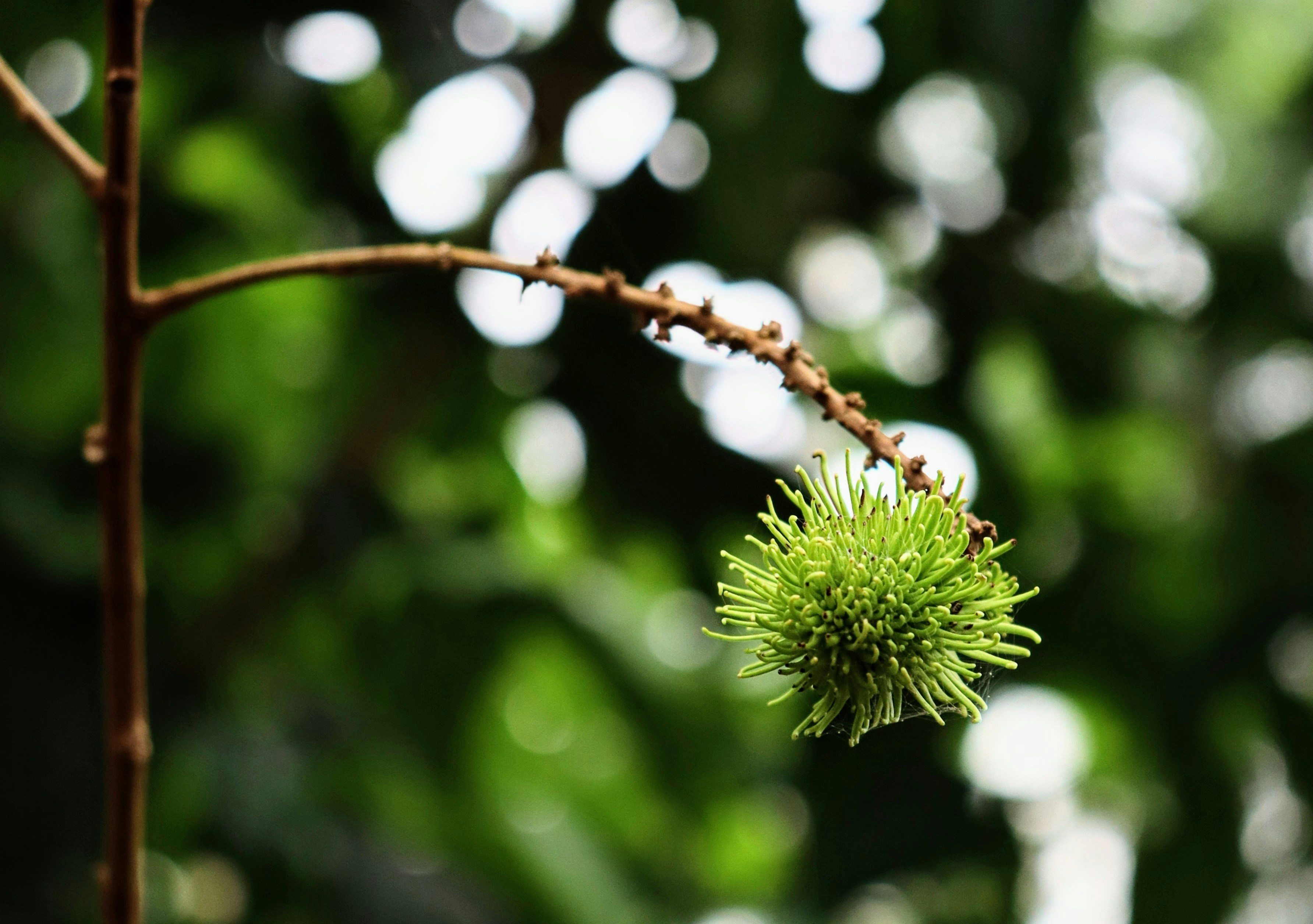 Photo by gorbinphilip