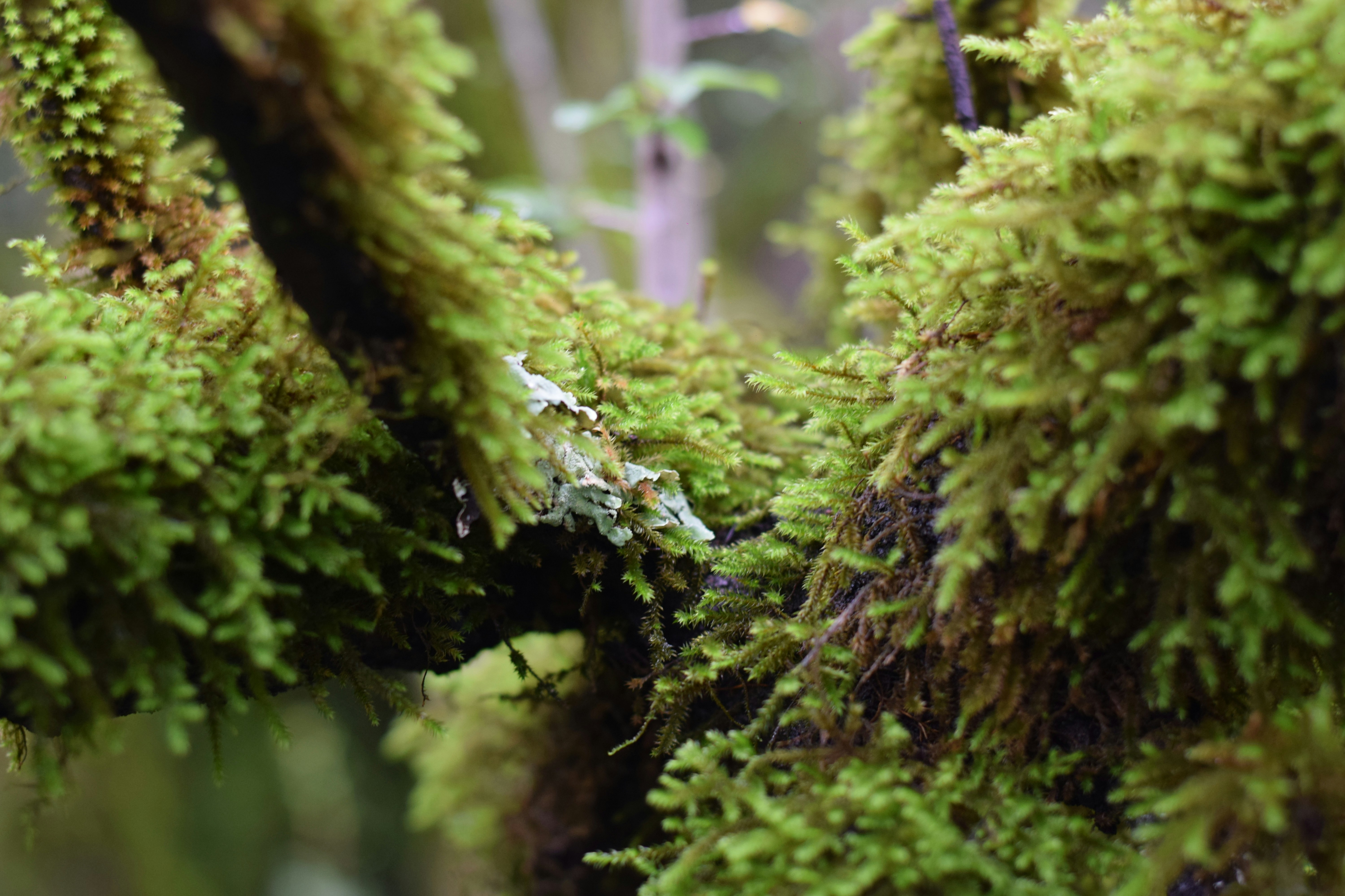 Photo by saleh_aka_jim