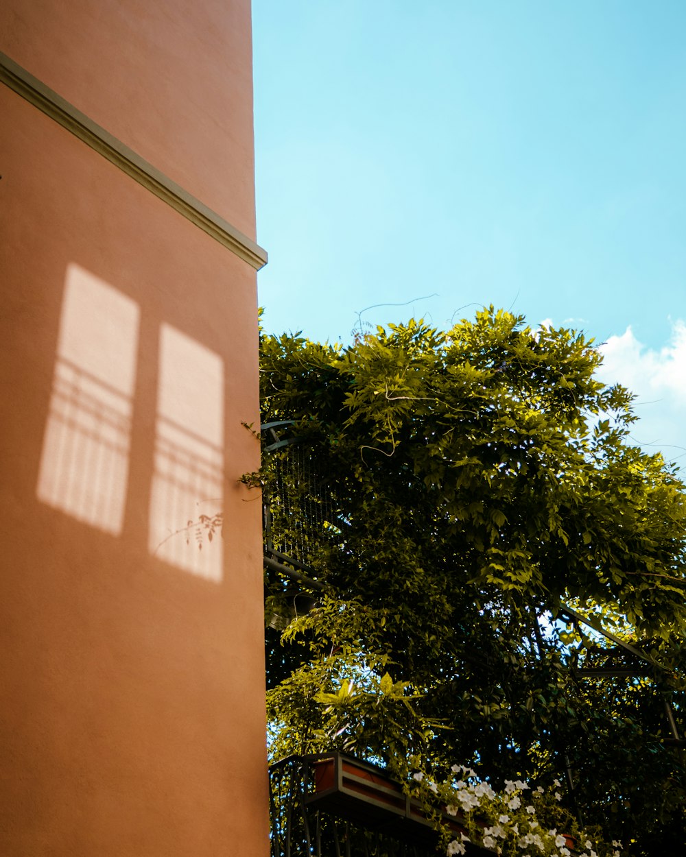 der Schatten eines Gebäudes an der Seite eines Baumes