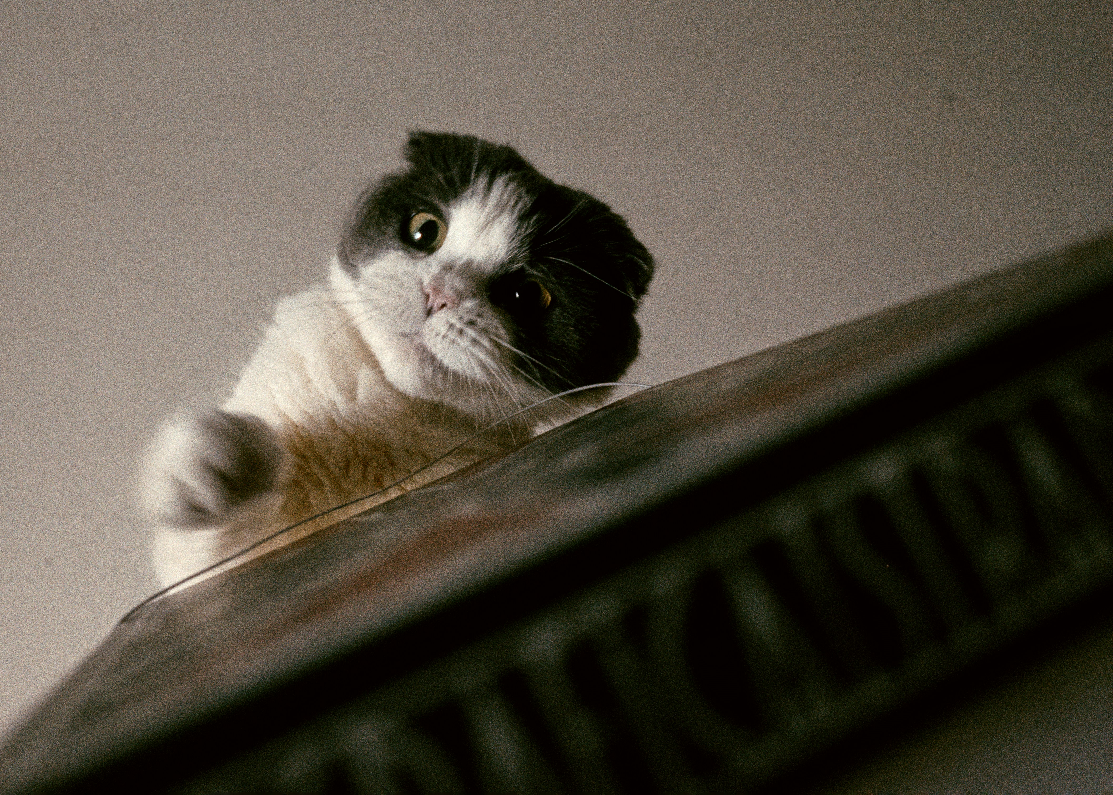 Photo by dodowang1994