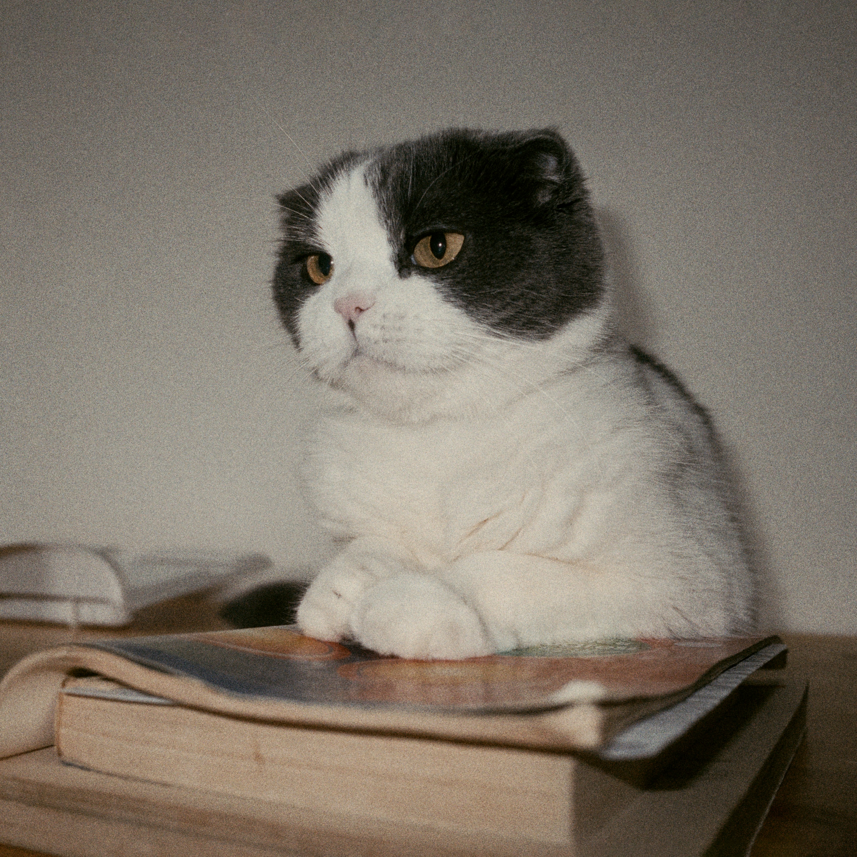 Symptoms & Next Steps Guidance