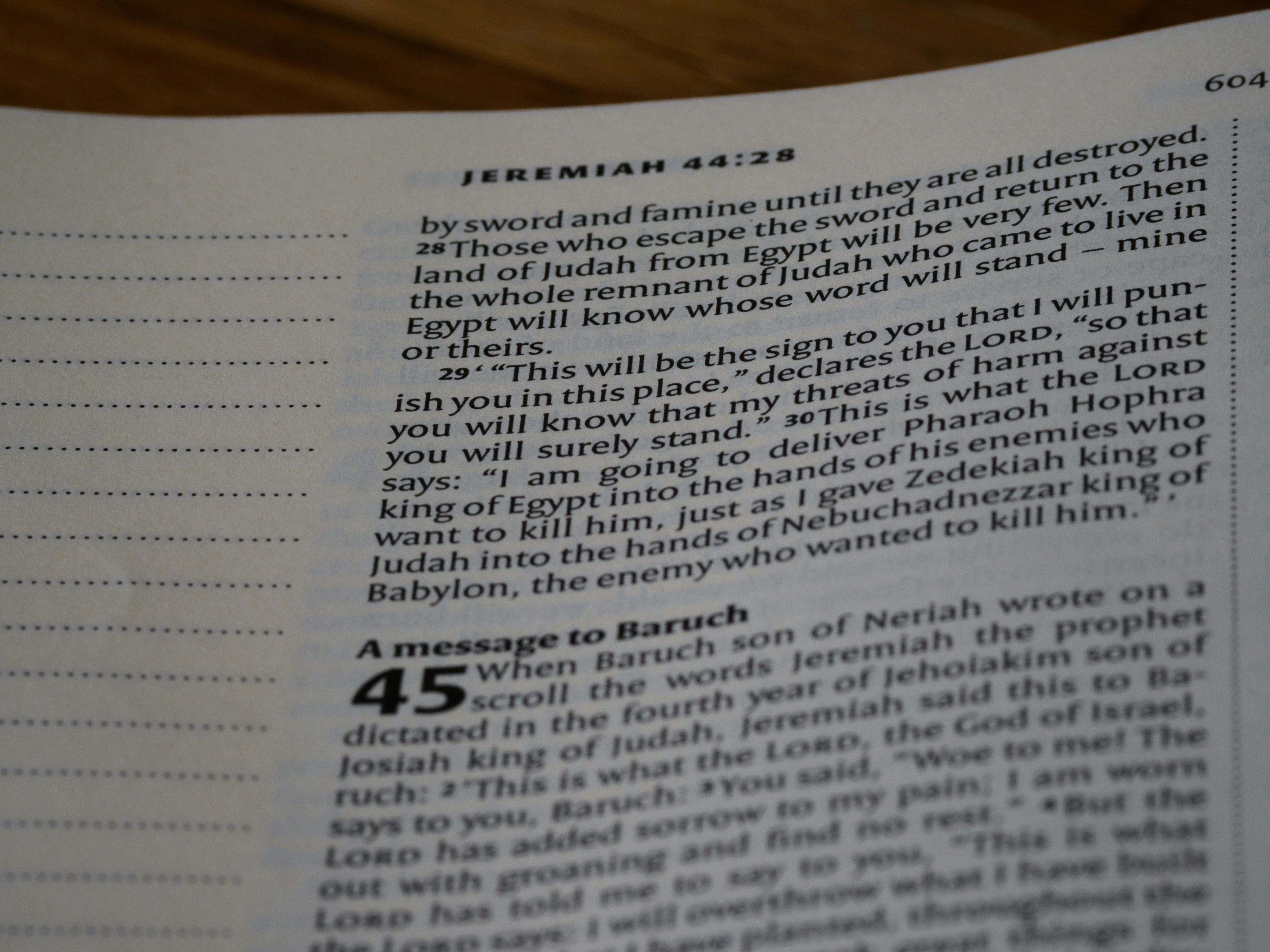 Bible Study Resources and Materials