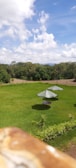 A green lawn with two outdoor patio tables each shaded by a large umbrella. Surrounding the lawn, there are dense trees and shrubs, with a partly cloudy blue sky above.