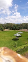 A green lawn with two outdoor patio tables each shaded by a large umbrella. Surrounding the lawn, there are dense trees and shrubs, with a partly cloudy blue sky above.