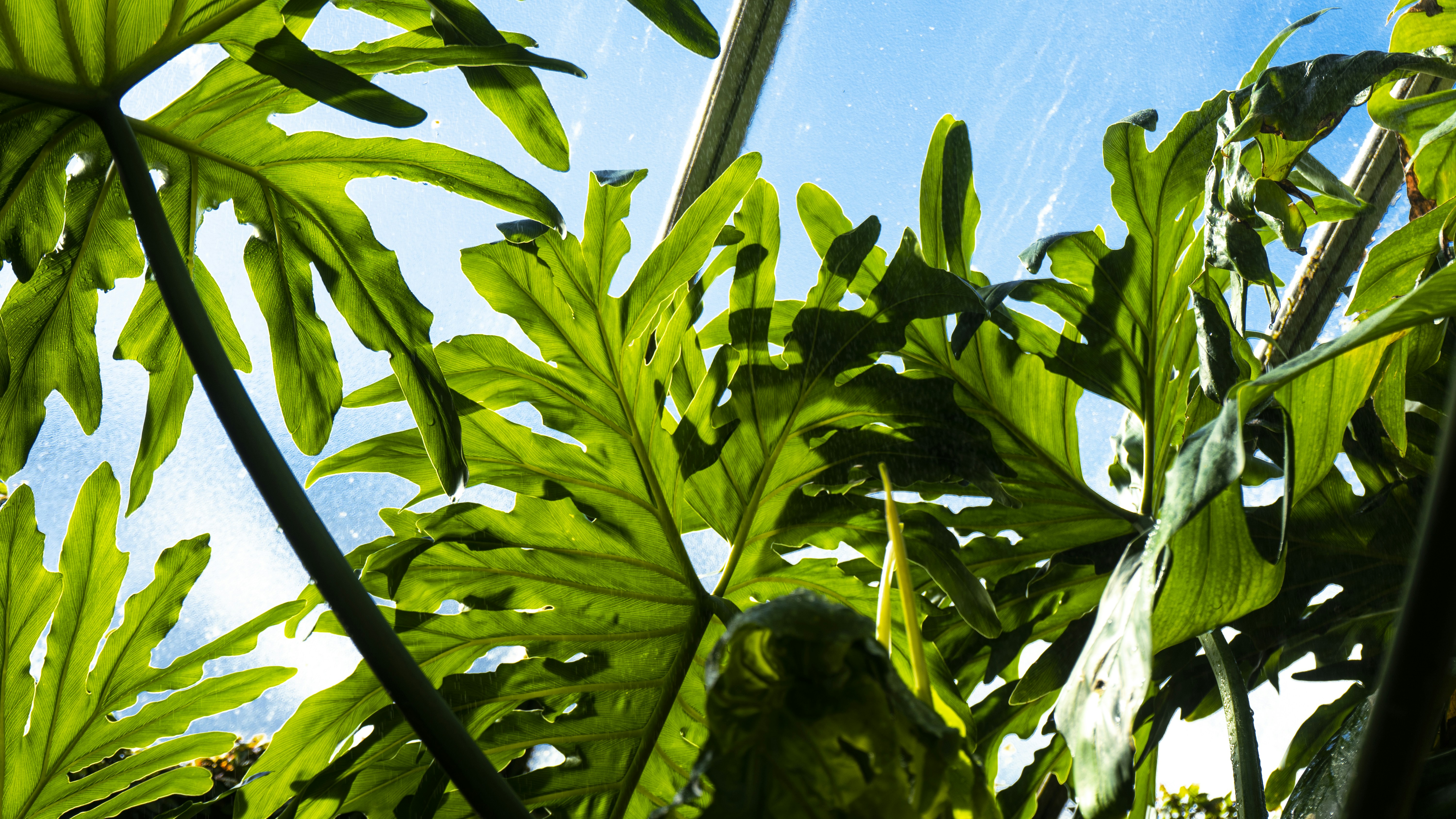 Photo by jeffreyzhang_920