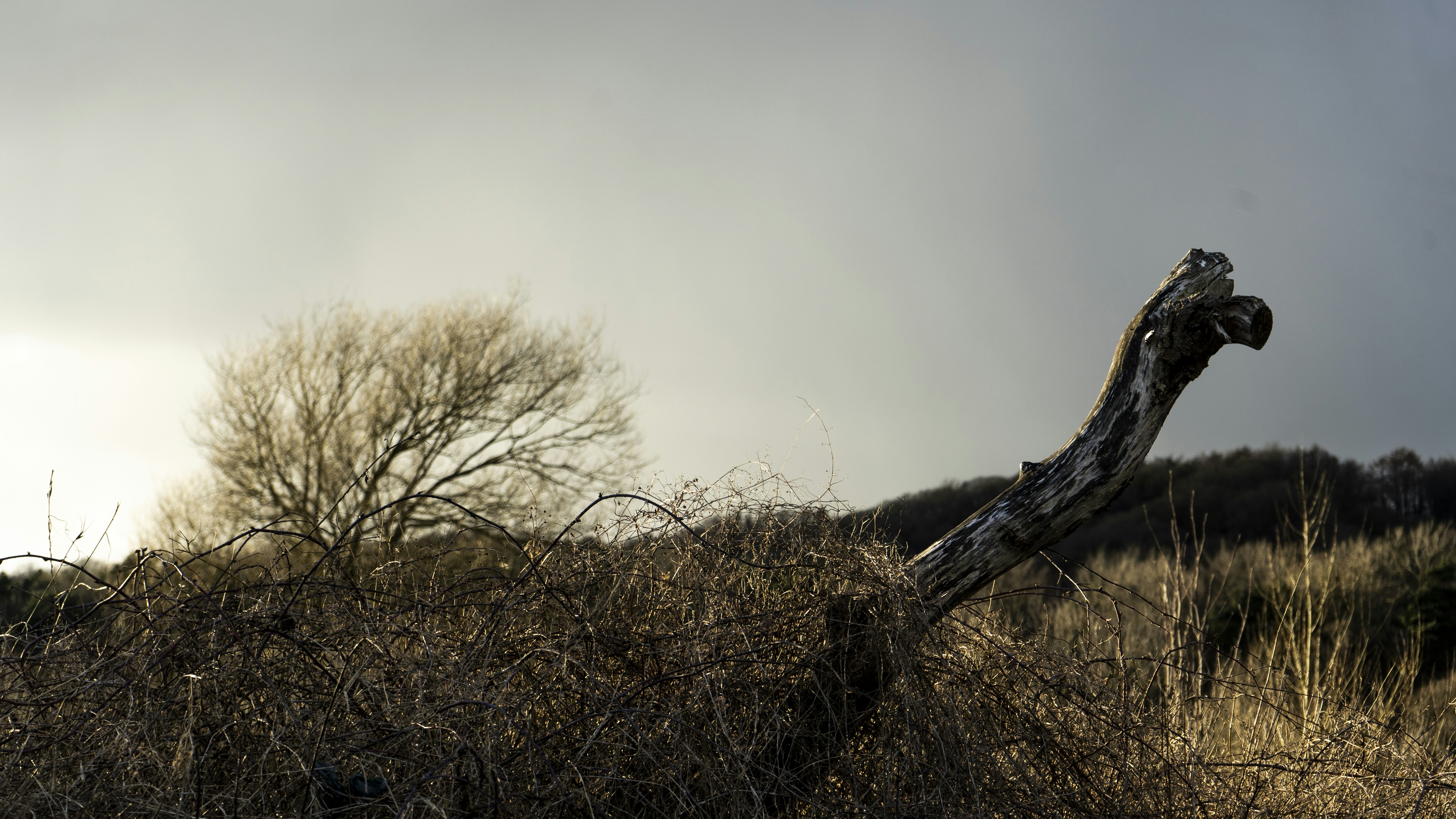 Photo by jeffreyzhang_920